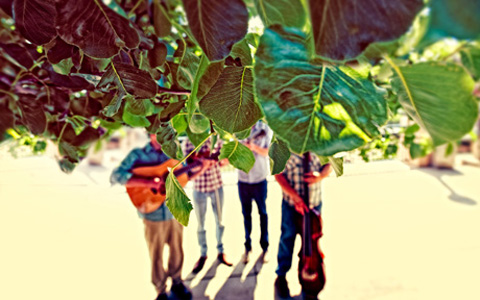standing under tree